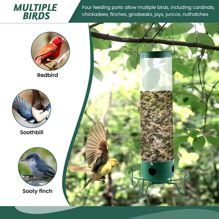 Comedero para Pájaros a Prueba de Ardillas