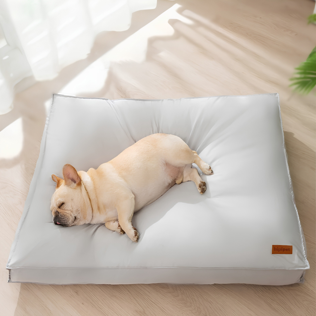 Cojín Perro Ortopédico Impermeable