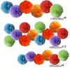 Conjunto de Guirnalda de Papel Flor y Globo de 24 Piezas