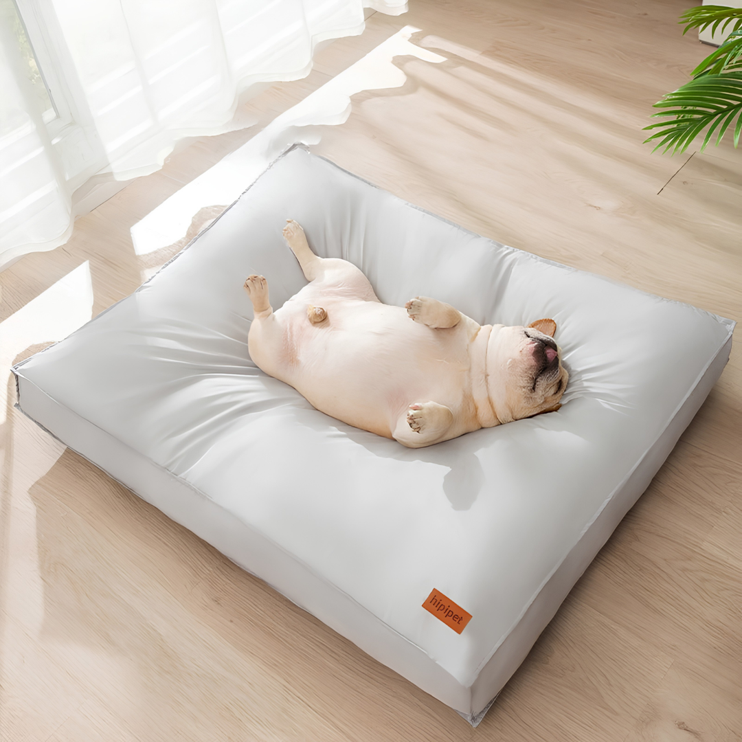 Cojín Perro Ortopédico Impermeable