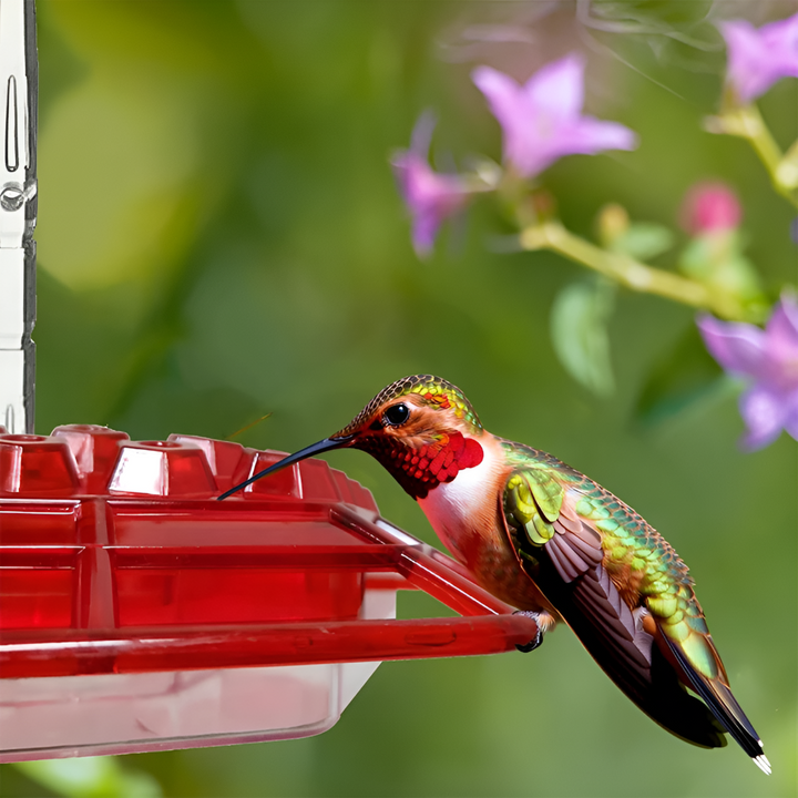 Alimentador de Colibríes a Prueba de Hormigas