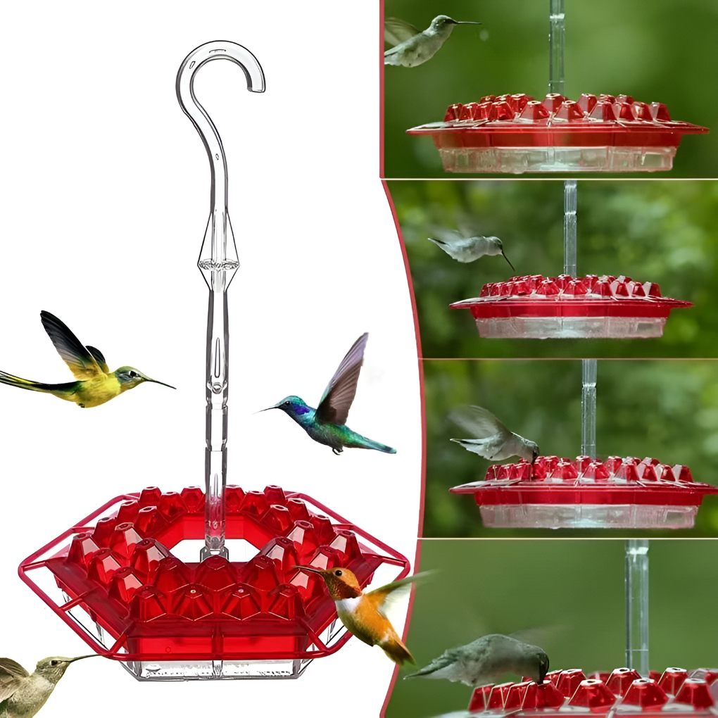 Alimentador de Colibríes a Prueba de Hormigas