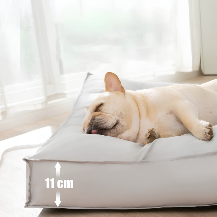 Cojín Perro Ortopédico Impermeable