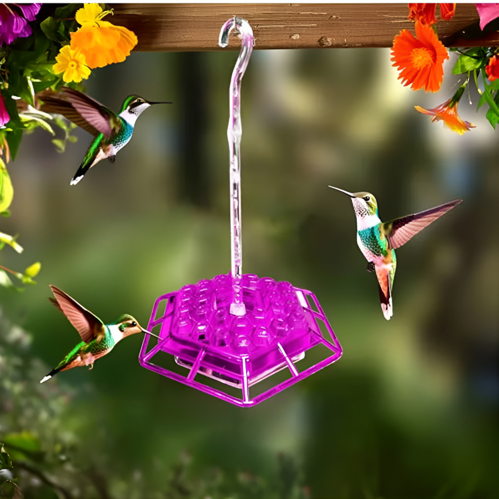 Alimentador de Colibríes a Prueba de Hormigas