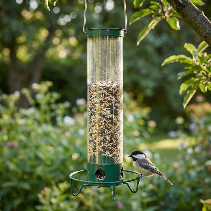 Feedrix - Comedero para pájaros colgante de tubo con aro para percha
