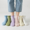 Conjunto de Calcetines de Tobillo con Volantes