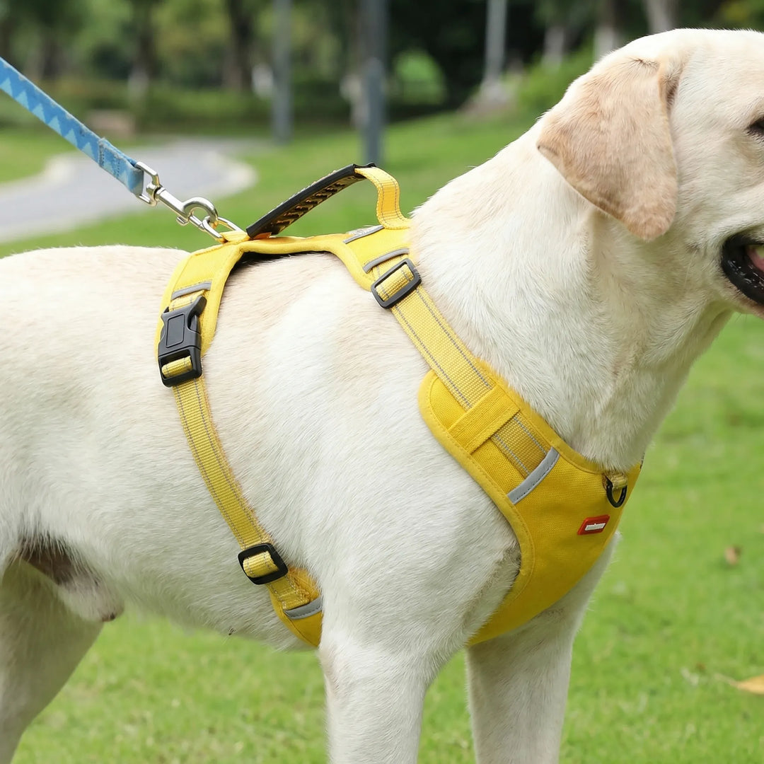 Pawltra - Arnés de pecho ajustable antitirones
