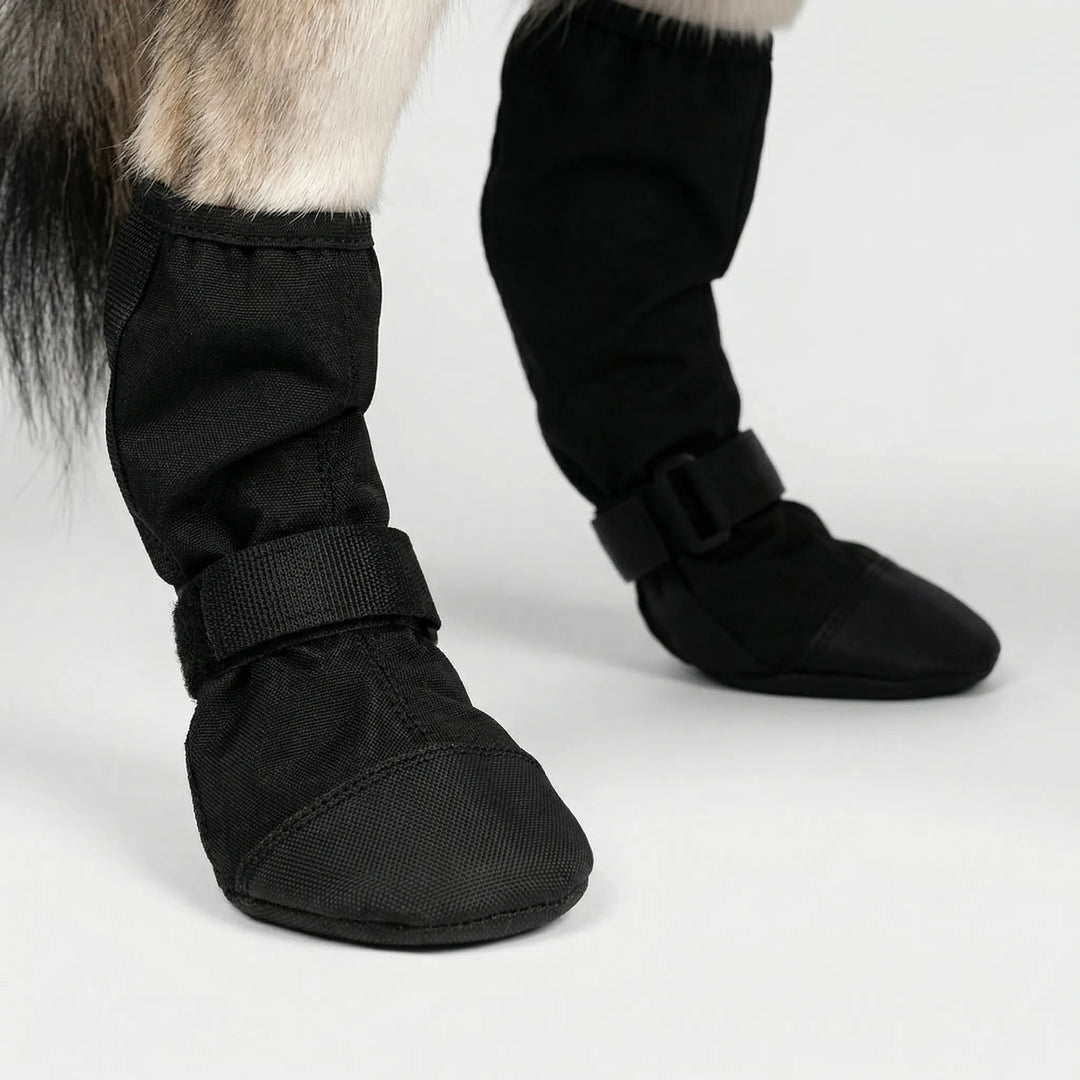 Pawvex - Botas para perros que cubren toda la pata