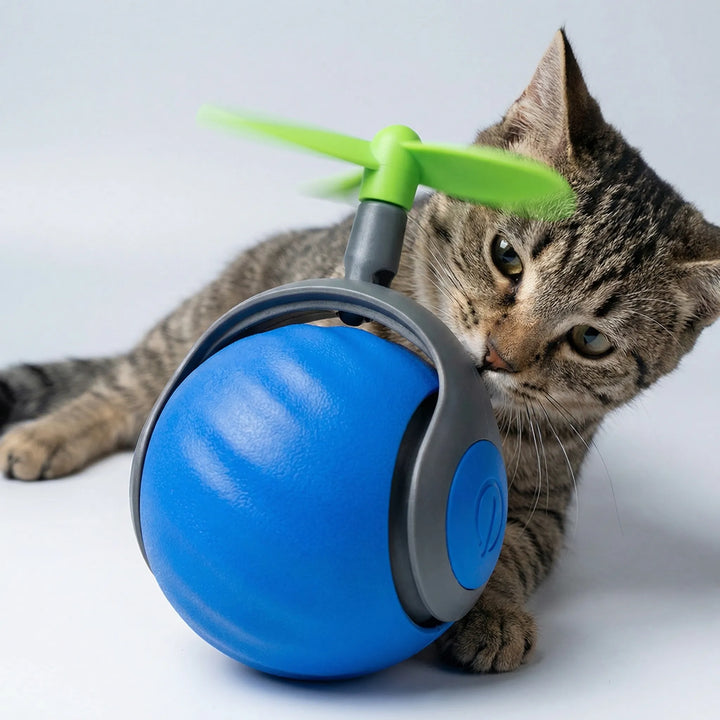 Rollova - Juguete para gatos que se activa con el movimiento y se autoenrolla