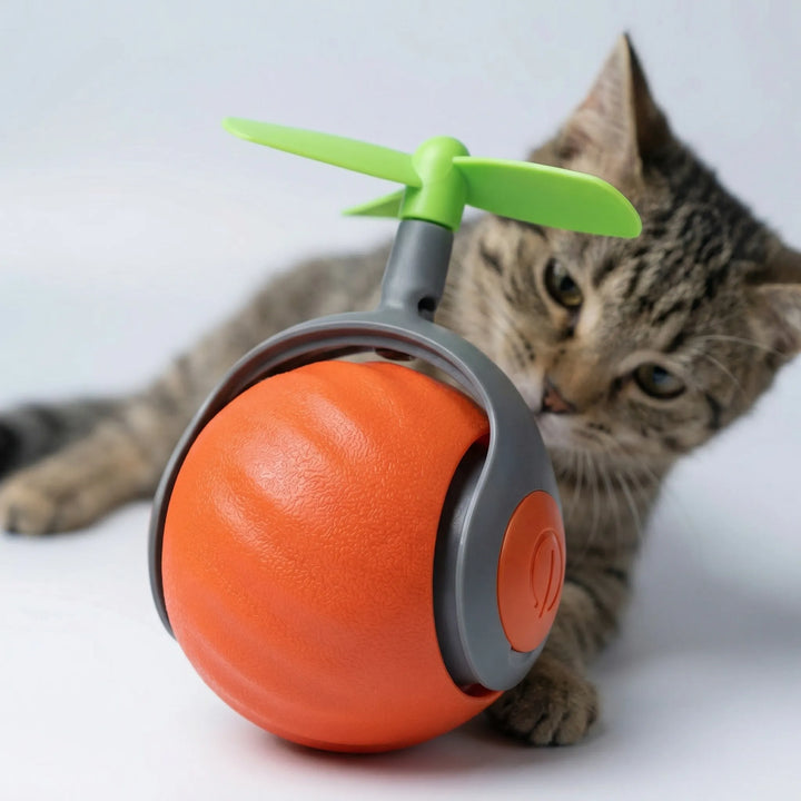 Rollova - Juguete para gatos que se activa con el movimiento y se autoenrolla