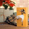 Caja de Tisanas Flying Skirt
