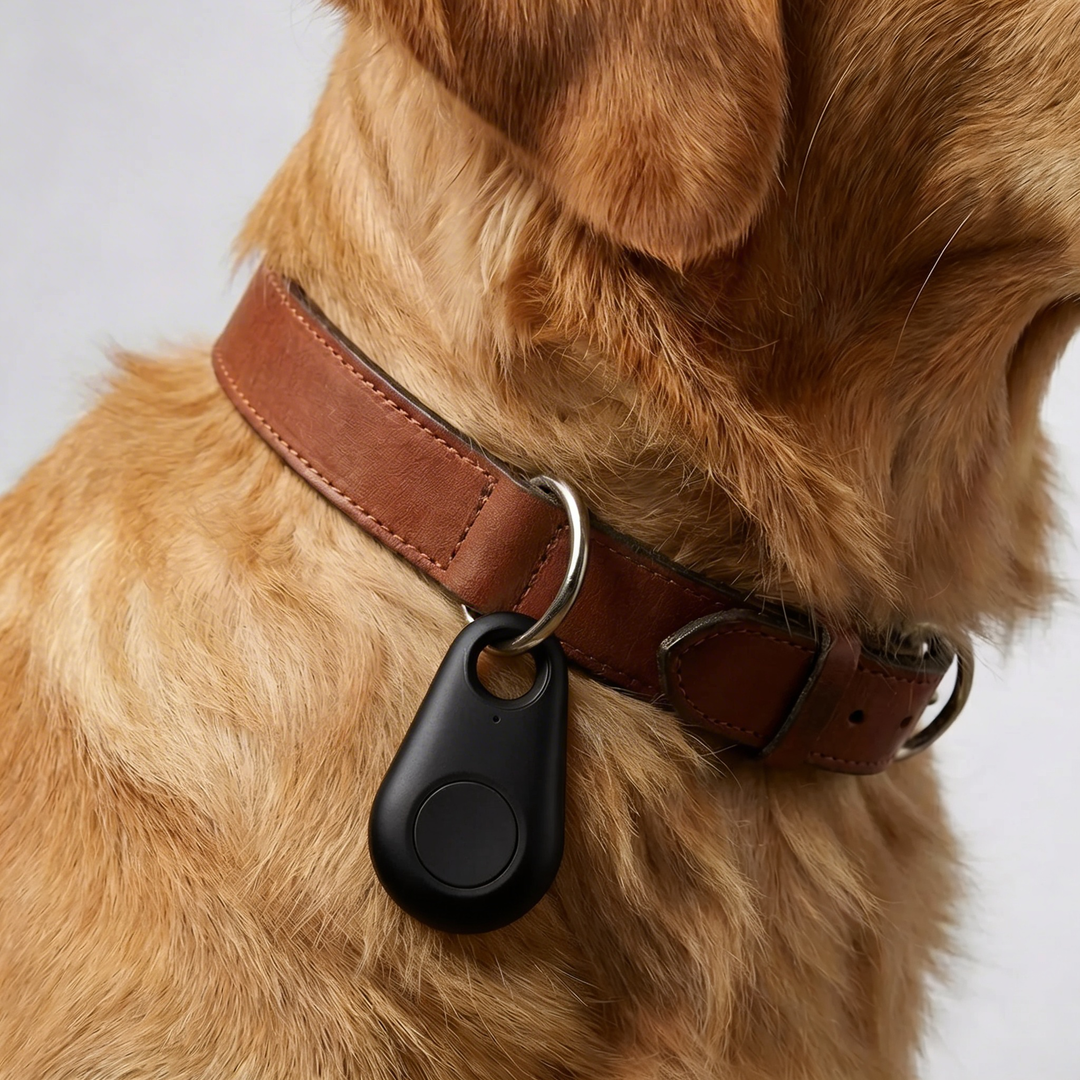 Rastreador de Collar GPS Compacto