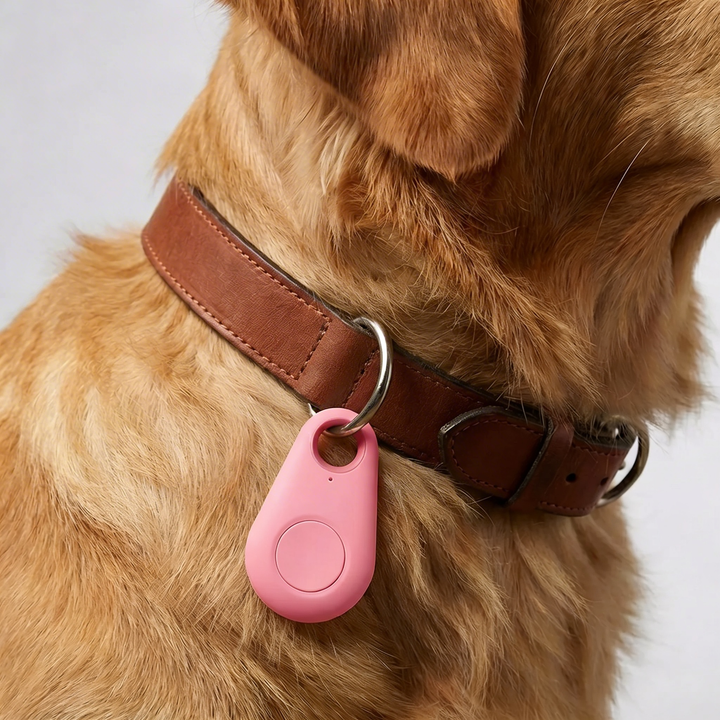 Rastreador de Collar GPS Compacto