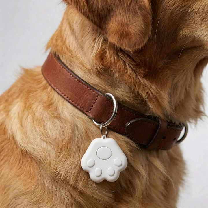 Rastreador de Collar GPS Compacto