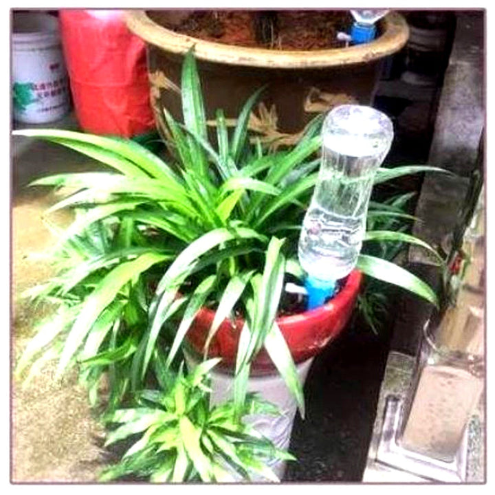 Picas de Riego Automático para Plantas (Pack de 12) – Ayuda de Jardín con Flujo Ajustable